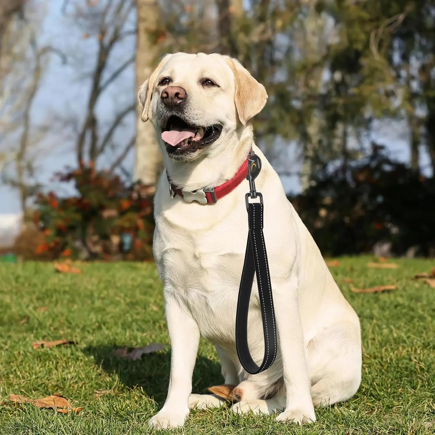 Short Dog Leash for Training Control - Reflective, Padded Handle for Large & Medium Dogs