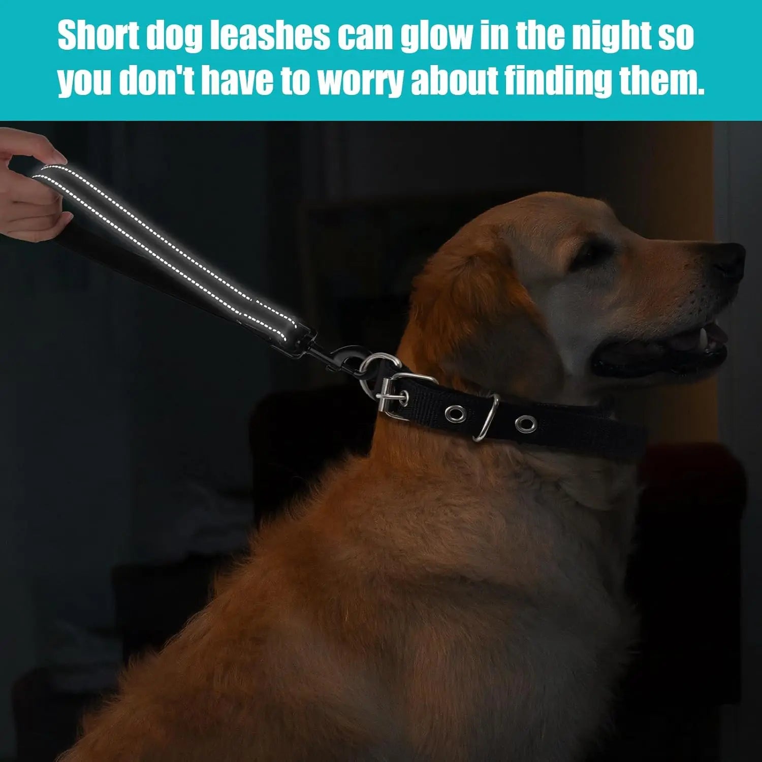 Short Dog Leash for Training Control - Reflective, Padded Handle for Large & Medium Dogs