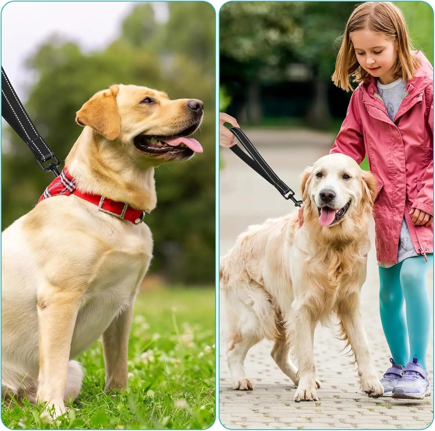 Short Dog Leash for Training Control - Reflective, Padded Handle for Large & Medium Dogs
