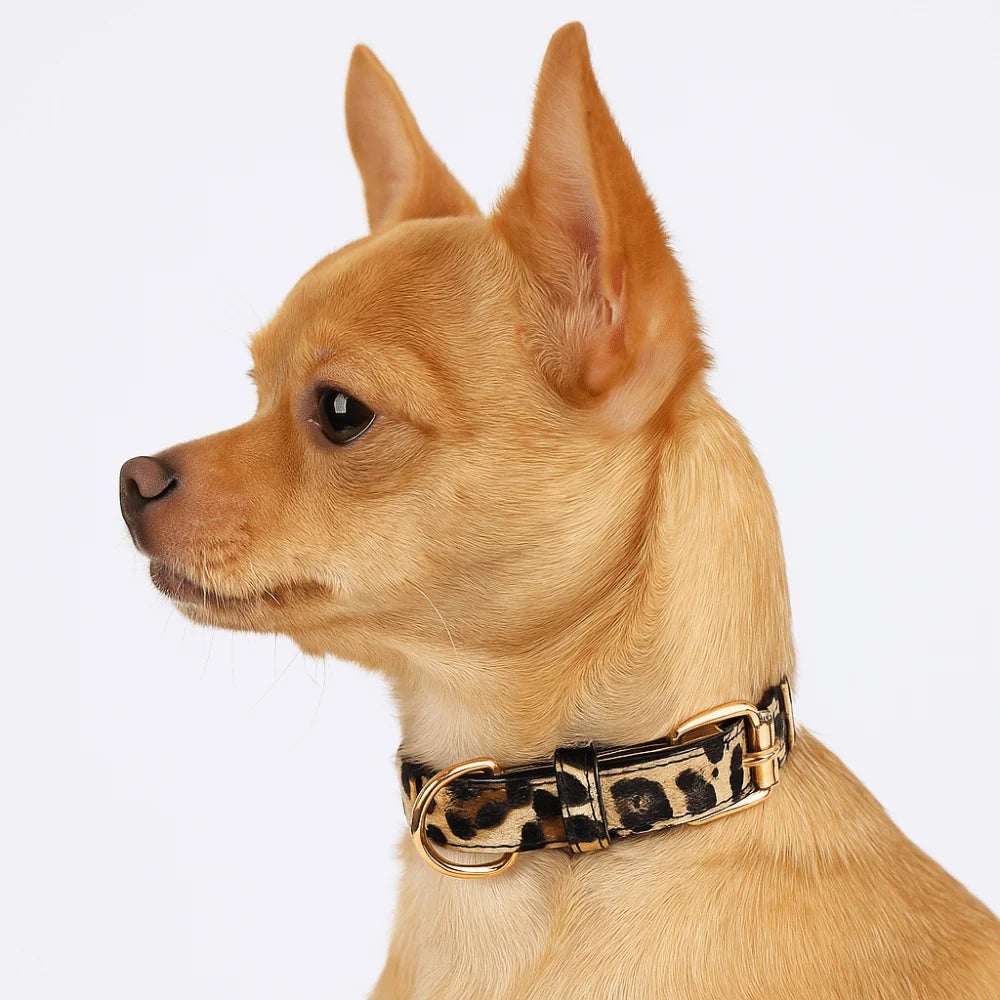 Durable Leopard Print Dog Collar Pet Walking PU Leather Leopard Dog Collar Wear Resistant Pet Collar Small Medium Dogs