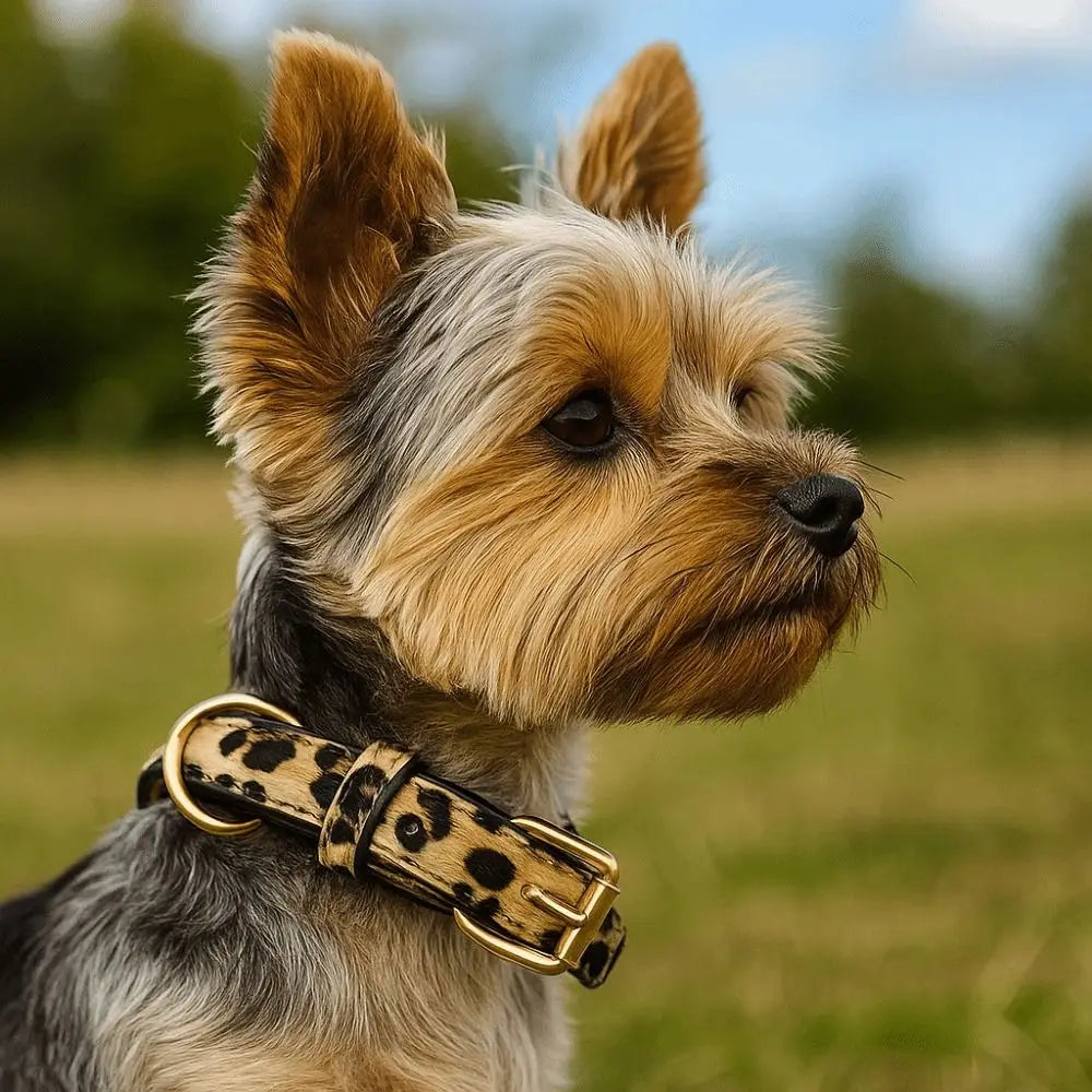 Durable Leopard Print Dog Collar Pet Walking PU Leather Leopard Dog Collar Wear Resistant Pet Collar Small Medium Dogs
