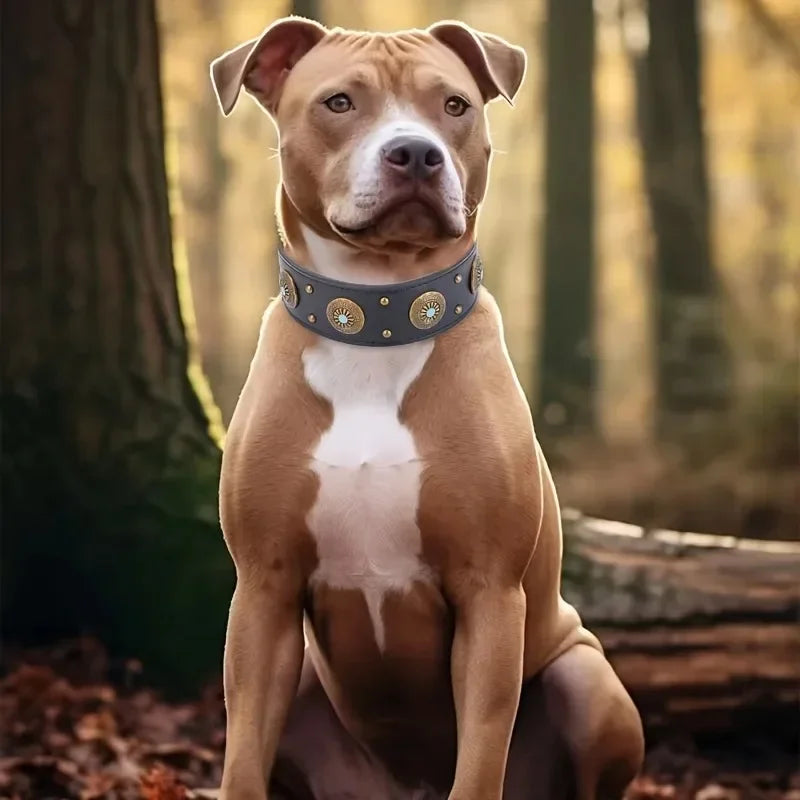 Dog collar retro design leather dog collar for medium large dogs pet High-end retro Leather necklace French Bulldog collar